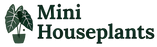 Mini Houseplants - Home