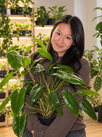 Cambow, Mitgründerin von Mini Houseplants, mit einem grossen Philodendron vor den Pflanzenregalen