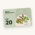 Mini Houseplants plant gift card, CHF 20