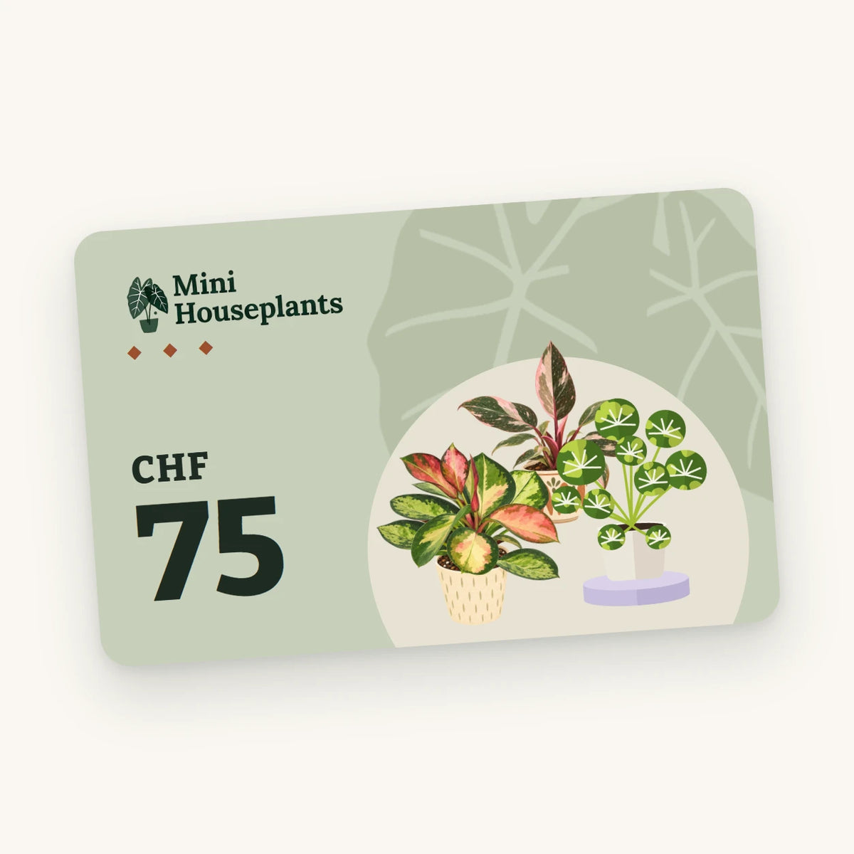 Mini Houseplants plant gift card, CHF 75